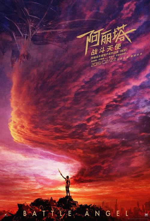 巴勒斯坦身份证作假